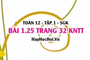 Bài 1.25 trang 32 Toán 12 tập 1 Kết nối tri thức